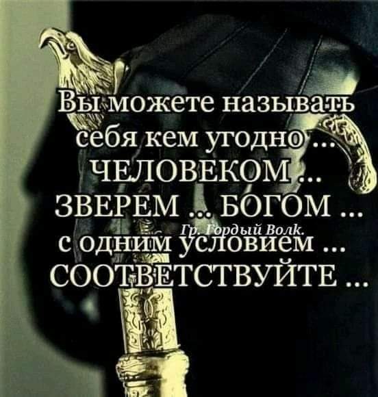 ЗВЕРЕМ БОГОМ с одним ёйёй СООТЁЕТСТВУЙТЕ
