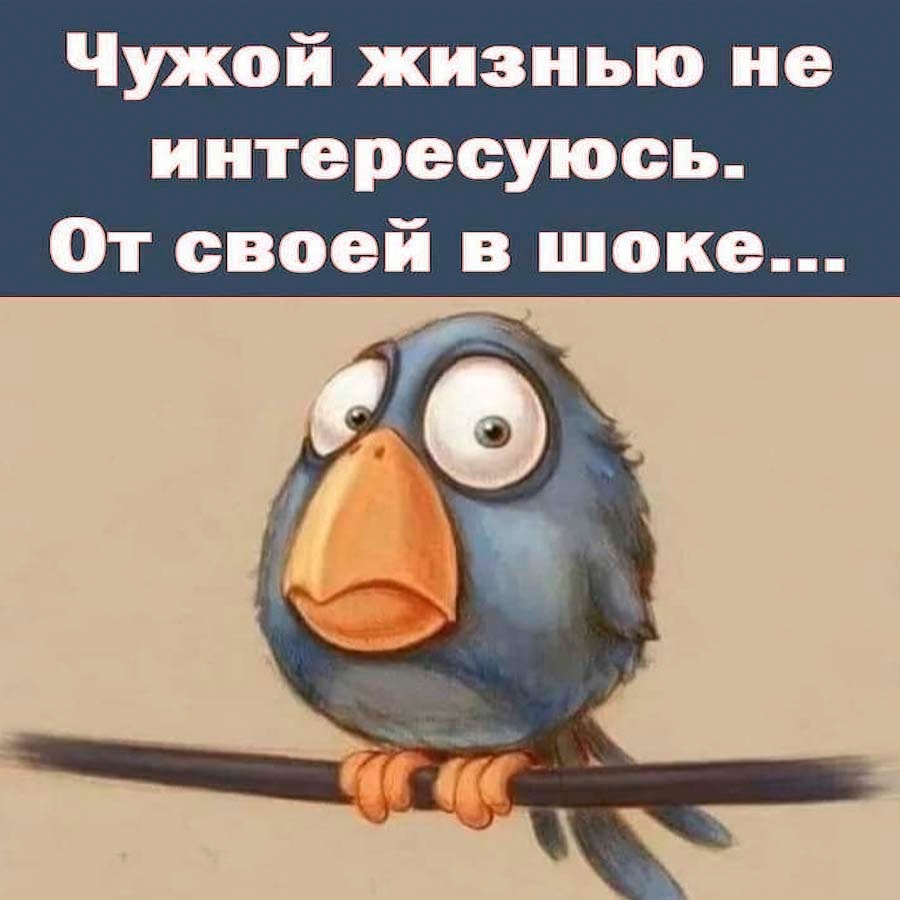Чужой жизнью не интересуюсь От своей в шоке