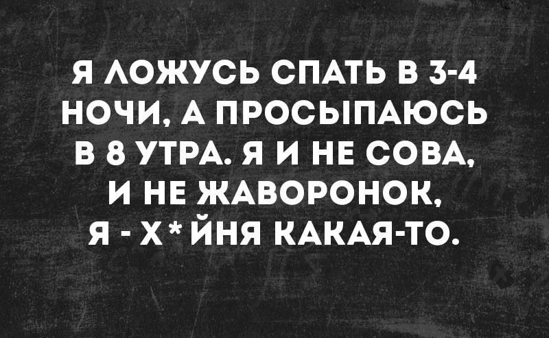 я АОЖУСЬ СПАТЬ в 34 ночи А просымюсь в в УТРА я и нв СОВА и на ЖАВОРОНОК я х йня КАКАЯ ТО