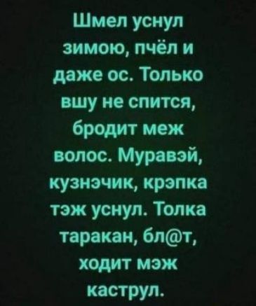Шмел уснул зимою пчёл и даже ос Только ищу не спится бредит меж волос Мура эй кузнэчик крамп тэж уснул Топка проти 6лт ходит мэж каструп