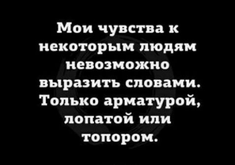 Мои чувства к некоторым людям невозможно выразить словами Только арматурой лопатой или топором
