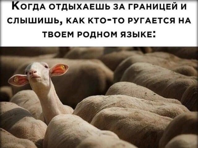 КОГДА ОТДЫХАЕШЬ ЗА ГРАНИЦЕЙ И СЛЫШИШЬ КАК КТО ТО РУГАЕТСЯ НА ТВОЕМ РОДНОМ ЯЗЫКЕ