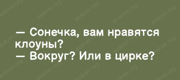 Сонечка вам нравятся клоуны Вокруг Или в цирке