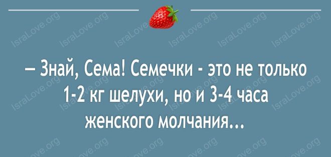 _С Знай Сема Семечки это не только 1 2 кг шелухи но и 3 4 часа женского молчания