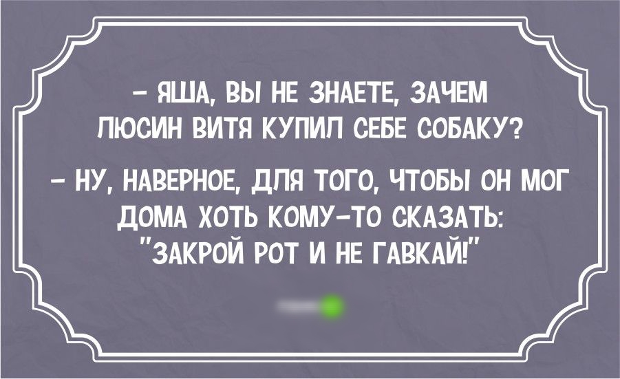 ПЛА ВЫ НЕ ЗНАЕТЕ ЗАЕИ ПЮСИН НИТИ КУПИП СЕБЕ СОБАКУ ну шансе для того чтовы он мог домд хо_гь КОМУ ТО скцпь здкрои рот и не пакт п