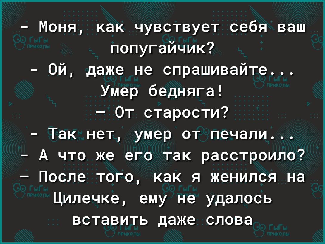 Моня как чувствует себя ваш попугайчик Ой даже не спрашивайте Умер бедняга От старости Так нет умер от печали А что же его так расстроило После того как я женился на Ципечке ему не удалось ЕСТЗЕИТЬ даже СПОЕВ