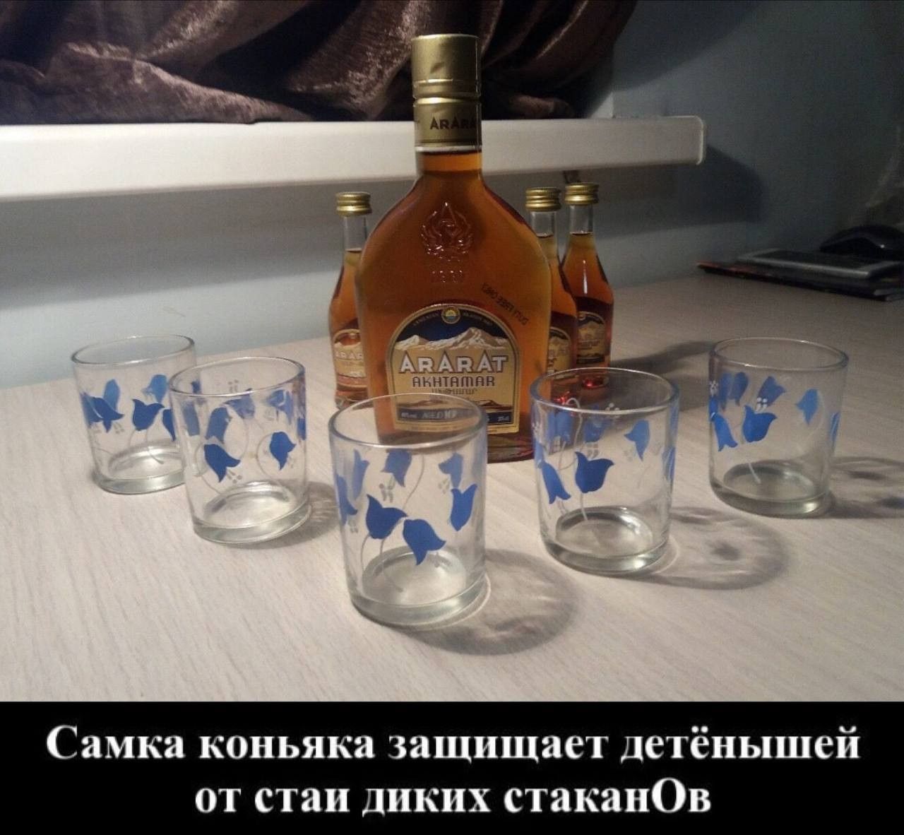 а коньяка защищает детёнышей от стаи ди стаканОв