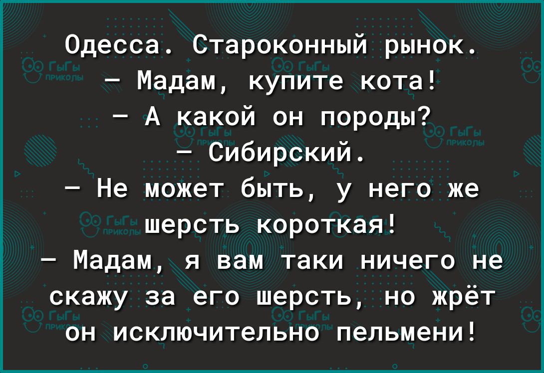 Одесса Староконный рынокт Мадам купите кота А какой он породы Сибирский Не может быть у него же шерсть короткая Мадам я вам таки ничего не скажу за его шерсть на жрёт ОН ИСКЛЮЧИТЭПЬНО пельмени