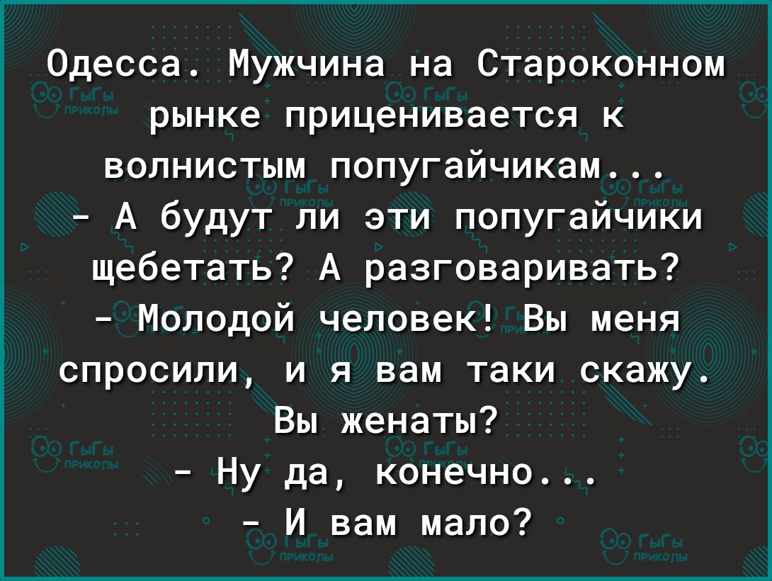 Одесса Мужчина на Староконном рынке приценивается к волнистым попугайчикам А будут ли эти попугайчики щебетать А разговаривать Молодой человек Вы меня спросили и я вам таки скажу Вы женаты Ну да конечно И вам мало