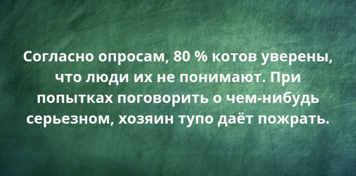 Согласно опросам ВО 1 рены что люди их не иодид попытках поговорить _ серьезном хозяин тупо даёт пожрать