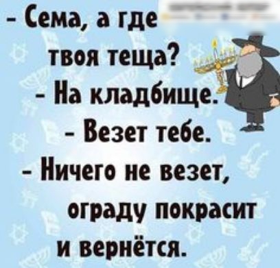 птичий вт г Сема а где твоя теща На кладбище Везет тебе Ничего не везет ограду покраеит и вернётся