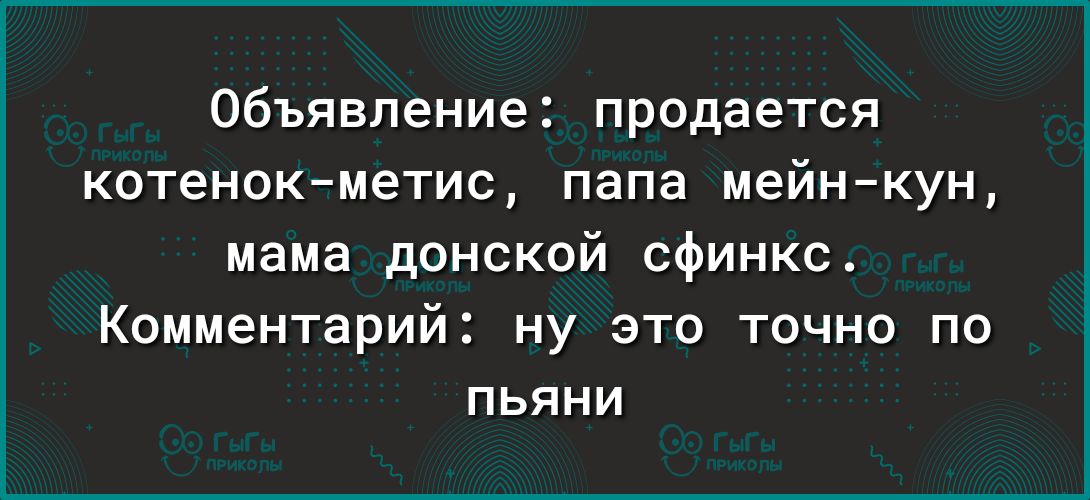 объявление продается котенокметис папа мейнкун мама донской сфинкс Комментарий ну это точно по пьяни