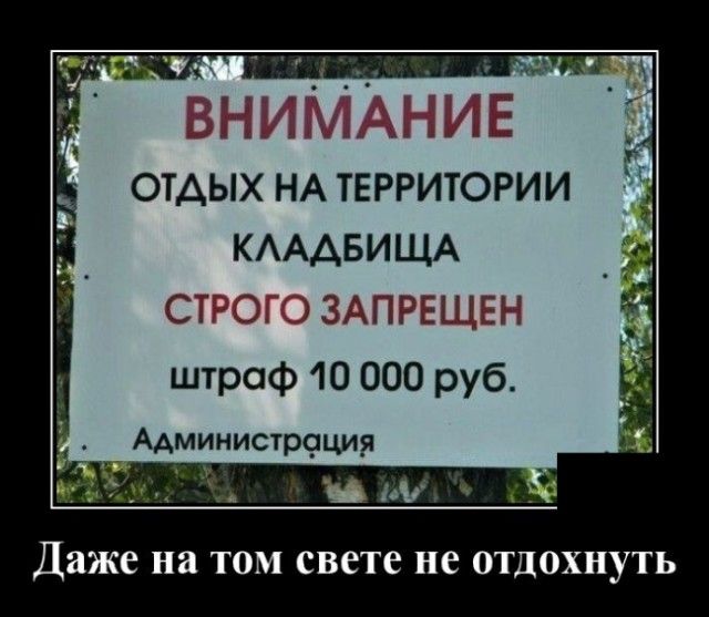 ОТАЫХ НА ТЕРРИТОРИИ КАААБИЩА Сх ЗП7ЕШЁГ штраф 10 000 руб Администрфция Даже на ТОМ свете не отдохнуть