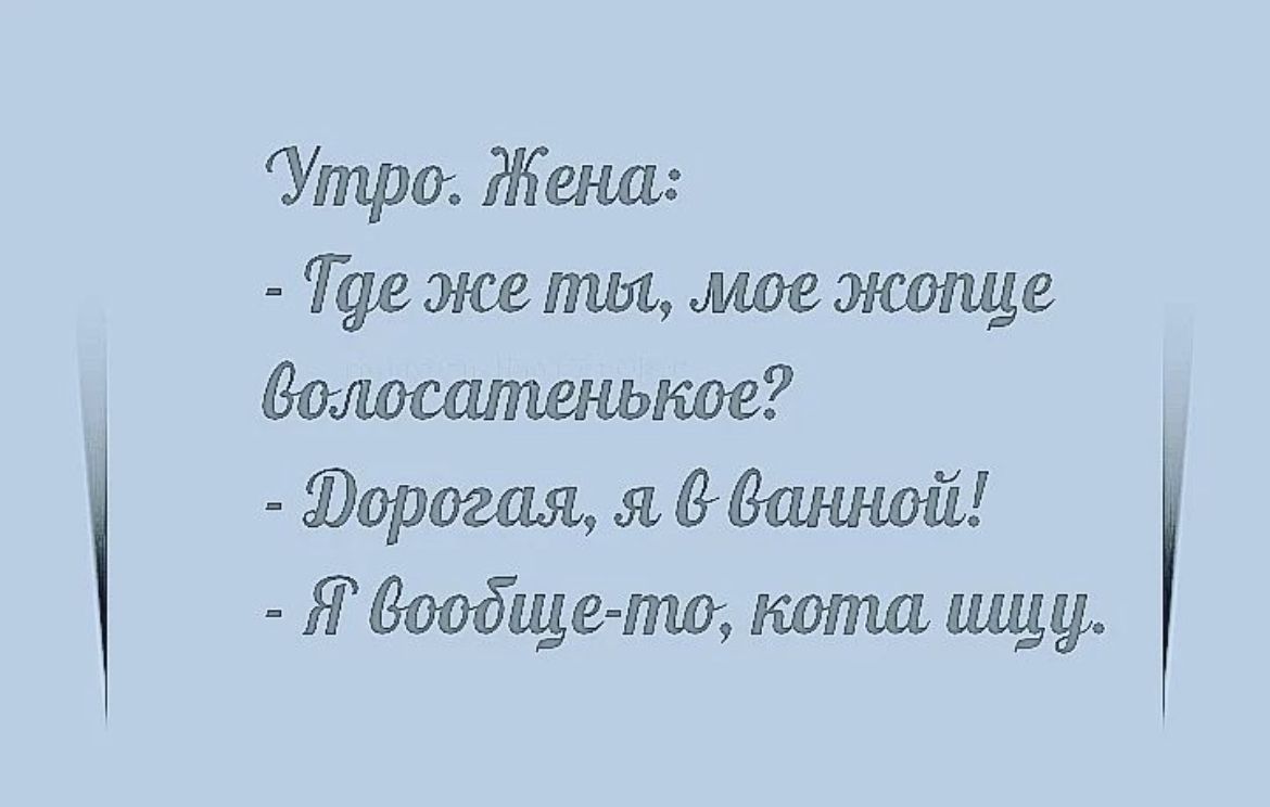 Утро Жена Где же ты мое жшще Вомсшпенькае Эдриан я данной ЯВообще пю кота пид