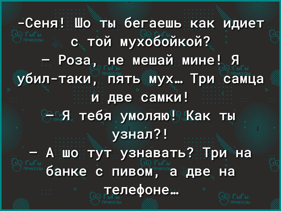Сеня Шо ты бегаешь как идиет с той мухобойкой Роза не мешай мине Я убилтаки пять мух Три самца и две самки Я тебя умоляю Как ты узнал А шо тут узнавать Три на банке с пивом а две на телефоне