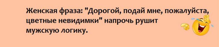 ж фраза Дорогой подай мне пожалуй а цдегице иенидимии напрочь рушит мужскую логику