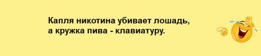 Капля никотина убиввт лошадь и кружки пивп км ипуру в