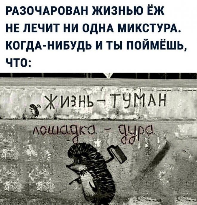 РАЗОЧАРОВАН ЖИЗНЬЮ ЁЖ НЕ ЛЕЧИТ НИ ОДНА МИКСТУРА КОГДА НИБУДЬ И ТЫ ПОЙМЁШЬ