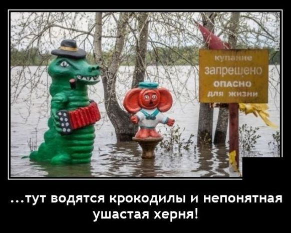 тут водятся крокодилы и непонятная ушастая херня
