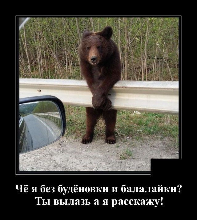 Чё я без будёновки и балалайки ТЫ ВЬПЛВЗЬ 2 Я расскажу