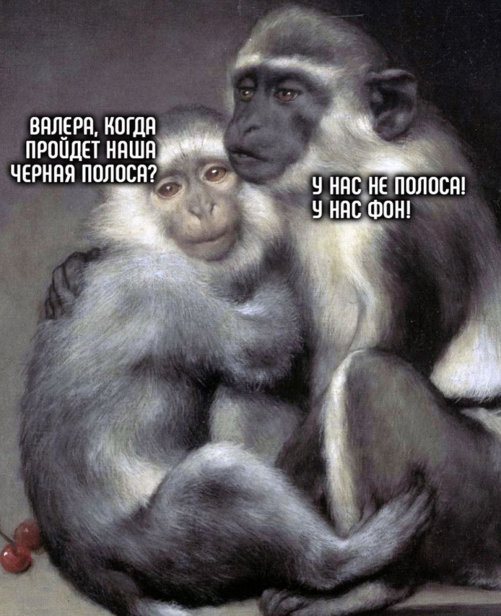 У НАСДН ПППОЁШ У НАС ФОН