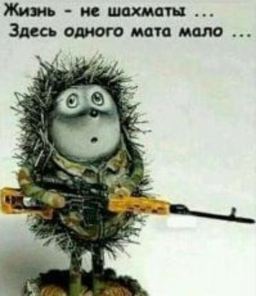 Жить не шахмат1 Здесь одного метанию