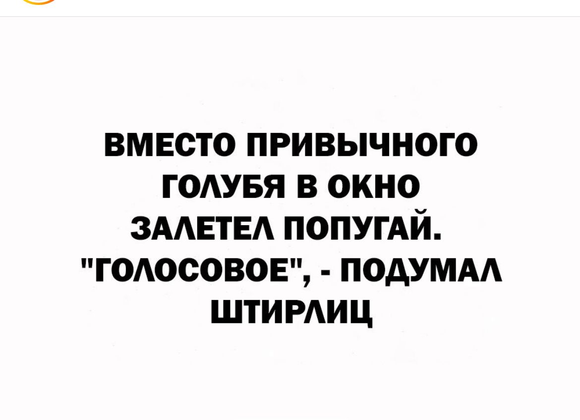 вместо привычного гмувя в окно зААЕтЕА ПОПУГАЙ годосовоЕ подумм штирдиц