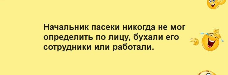 Начальник пасеки никогда не мы определить по лицу бухали его 3 сотрудники или работали