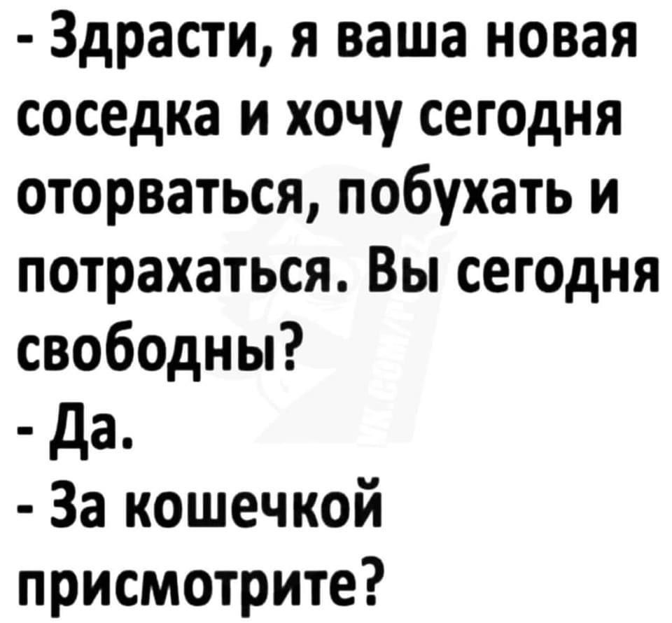 Здрасти я ваша новая соседка и хочу сегодня оторваться побухать и потрахаться Вы сегодня свободны да За кошечкой присмотрите
