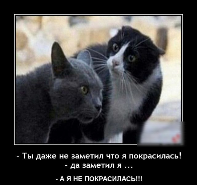 Ты даже не замежил что я покрасилась да замешл д А я НЕ ПОКРАСИПАСЫП