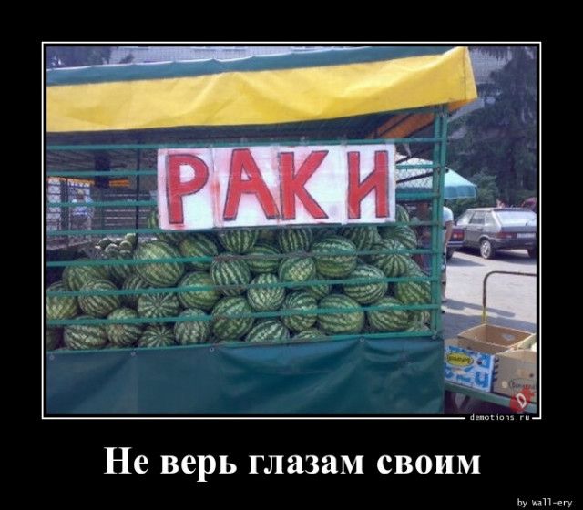 Не верь глазам СВОИМ