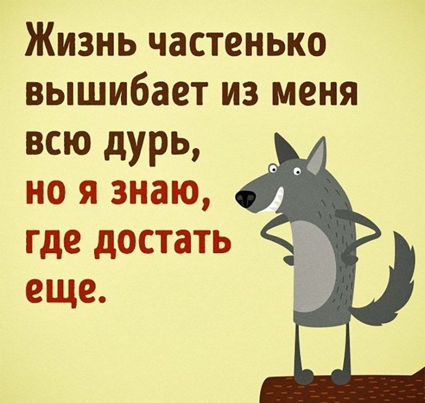 Жизнь частенько вышибает из меня всю дурь но я знаю где достать еще