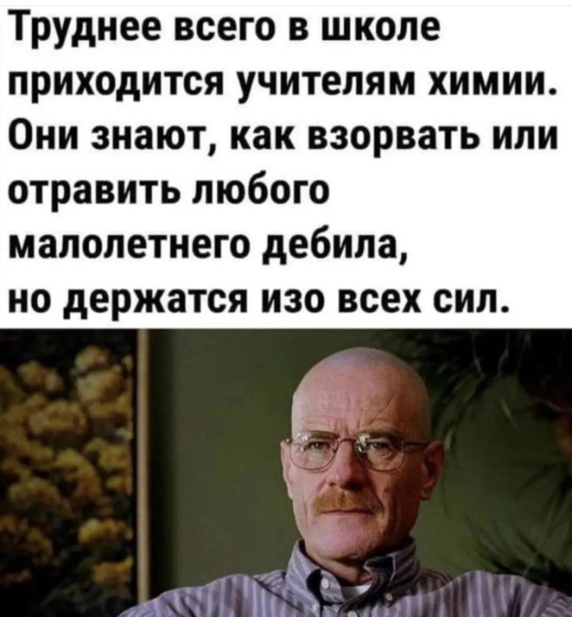 Труднее всего в школе приходится учителям химии Они знают как взорвать или отравить любого малолетнего дебила НО держатся ИЗО всех СИЛ