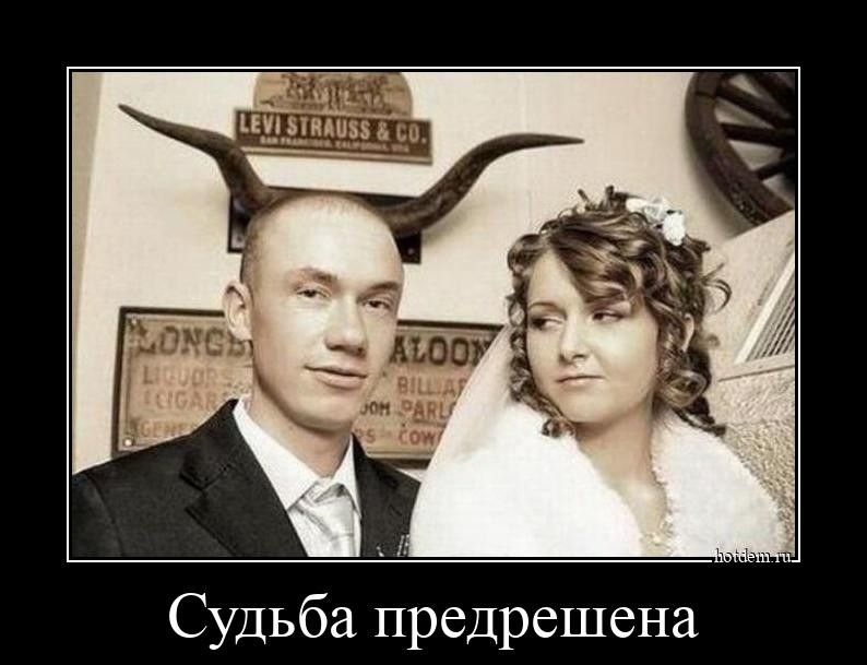 Судьба предрешена