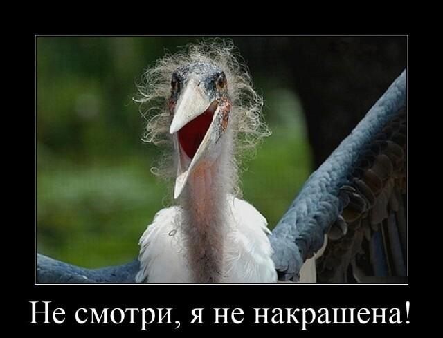 Не смотри я не накрашена