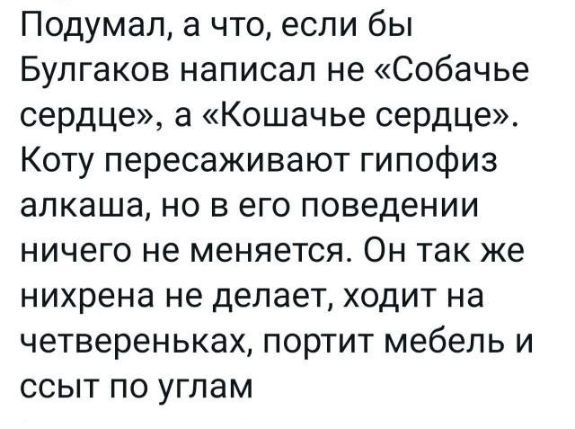 Подумал а что если бы Булгаков написал не Собачье сердце а Кошачье сердце Коту пересаживают гипофиз апкаша но в его поведении ничего не меняется Он так же нихрена не делает ходит на четвереньках портит мебель и ссыт по углам