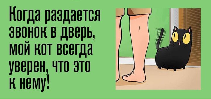 Нп гда раздается задник в дверь мпи кпт всегда уверен что эти к нему