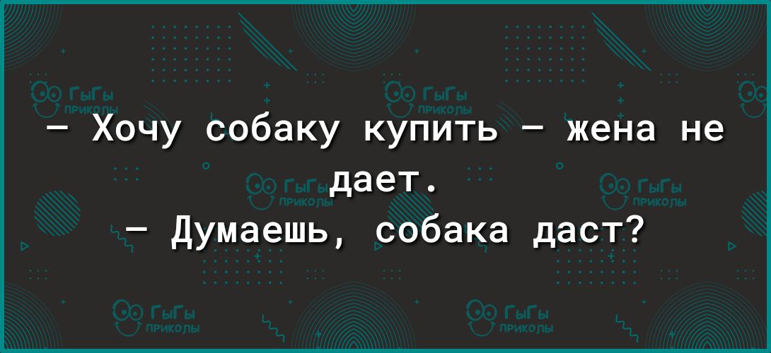 Хочу собаку купить жена не дает думаешь собака даст