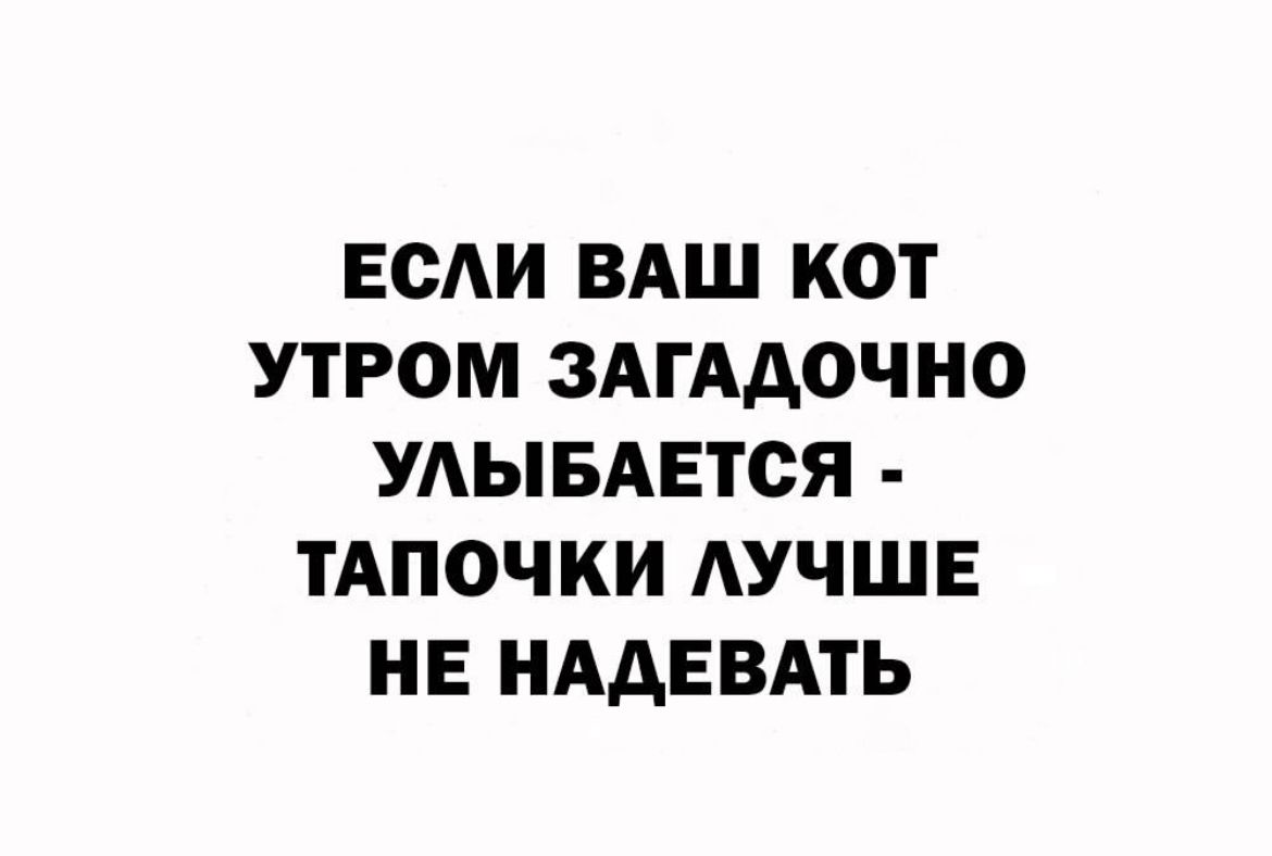 ЕСАИ ВАШ КОТ УТРОМ ЗАГААОЧНО УАЫБАЕТОЯ ТАПОЧКИ АУЧШЕ НЕ НААЕВАГЬ