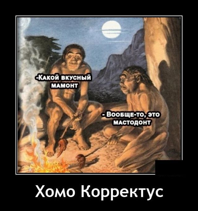 Хомо Корректус