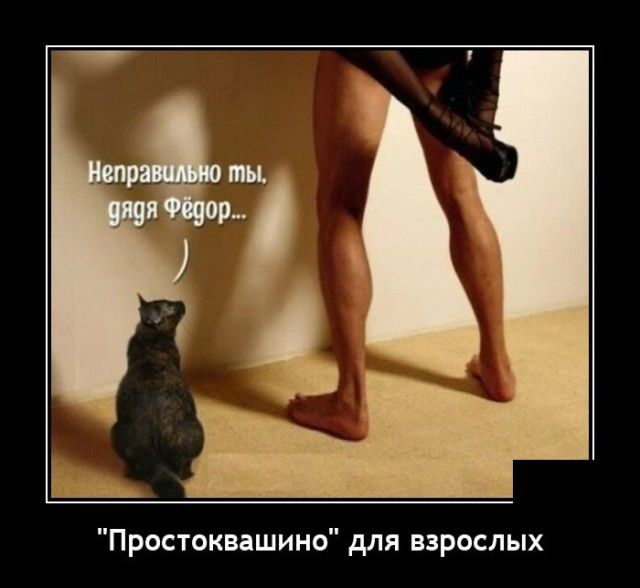 Простоквашино для взрослых