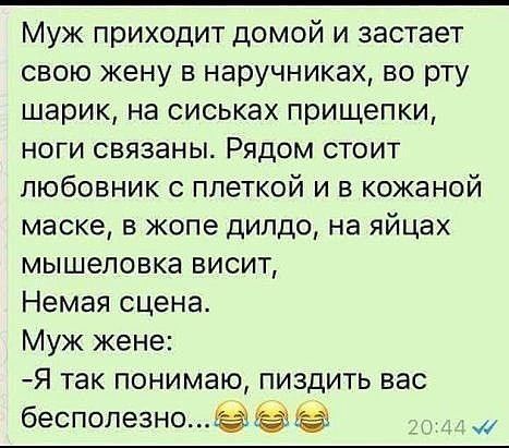 Муж приходит домой и застает свою жену в наручниках во рту шарик на сиськах прищепки ноги связаны Рядом стоит любовник с плеткой и в кожаной маске в жопе дилдо на яйцах мышеловке висит Немая сцена Муж жене Я так понимаю пиздить вас бесполезноёігёё