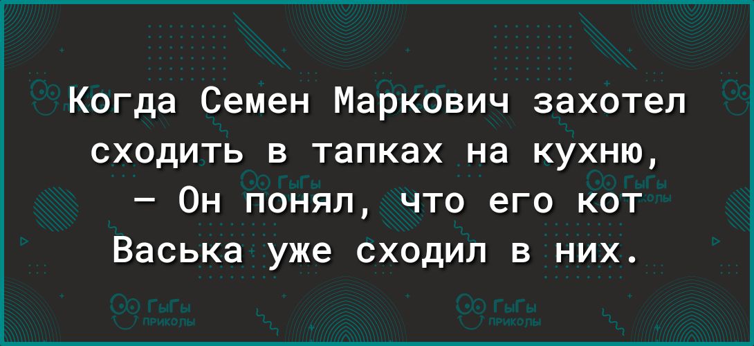 Когда Семен Маркович захотел сходить в тапках на кухню Он понял что его кот Васька уже сходил в них
