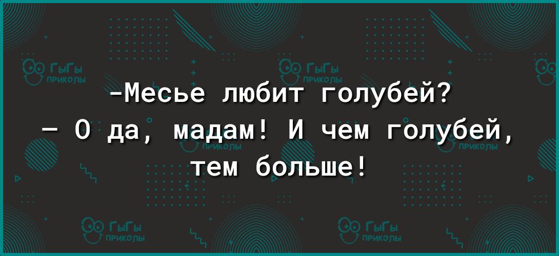 Месье любит голубей О да мадам И чем голубей тем больше