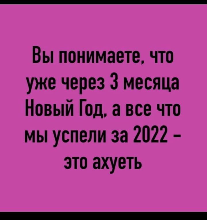 Вы понимаете что уже через 3 месяца Новый Год а все что мы успели за 2022 это ахуеть