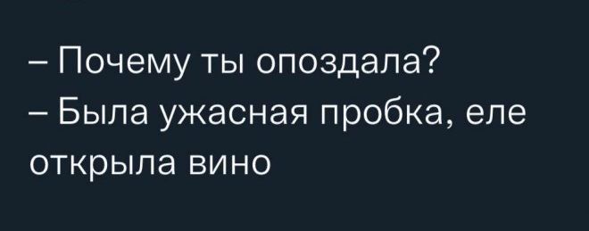 Почему ты опоздала Была ужасная пробка еле открыла вино
