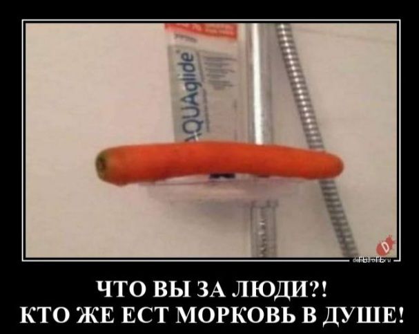 ЧТО ВЫ ЗА ЛЮДИ КТО ЖЕ ЕСТ МОРКОВЬ В ДУШЕ
