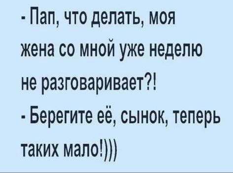 Пап что делать моя жена со мной уже неделю не разговаривает Берегите её сынок теперь таких мало