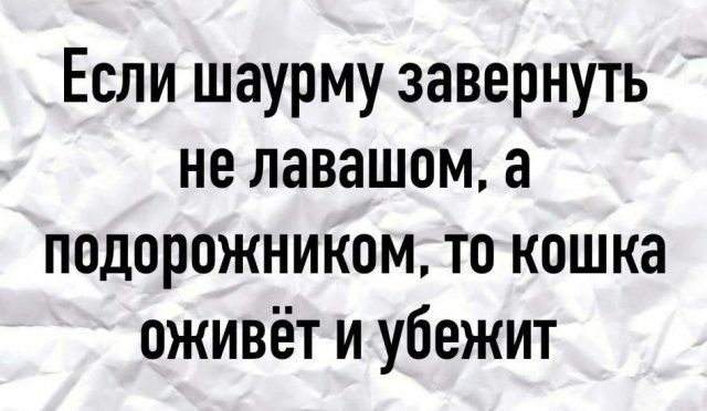 Если шаурму завернуть не лавашам а подорожникам то кошка оживёт и убежит