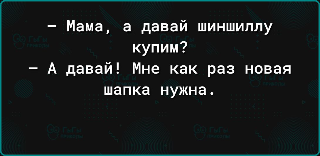 Мама а давай шиншиллу купим А давай Мне как раз новая шапка нужна